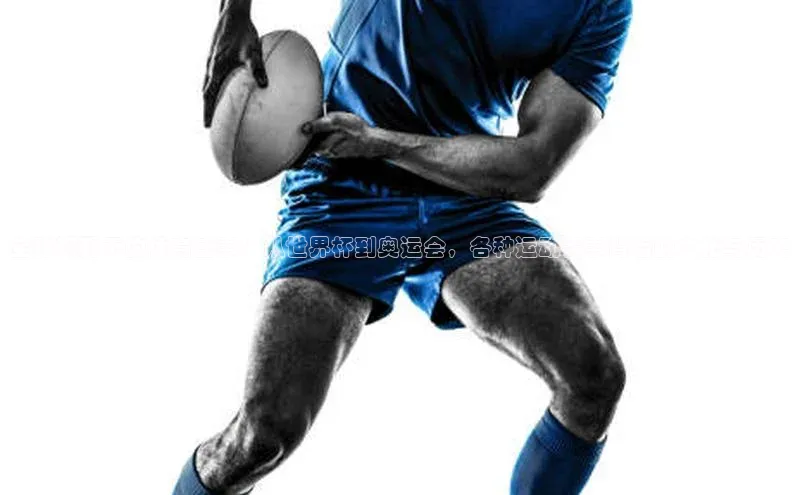 恒行官网登录入口爱慕股份全球视野下的体育盛事：从世界杯到奥运会，各种运动赛事背后的文化与历史