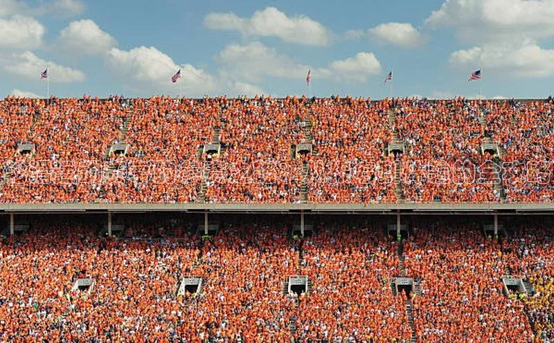 轮滑运动赛事的参赛之路：从报名到体验的全攻略