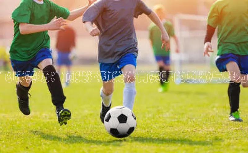 飞跃赛场：顶尖运动类体育赛事的刺激与魅力