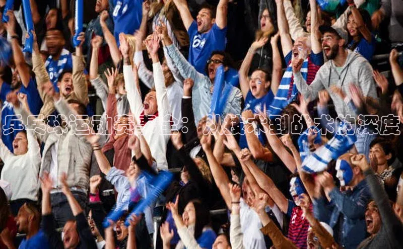 乒乓球运动赛事全：从技术到战术的深度