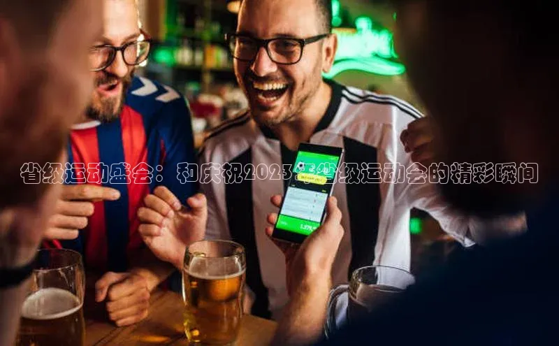 省级运动盛会：和庆祝2023年省级运动会的精彩瞬间