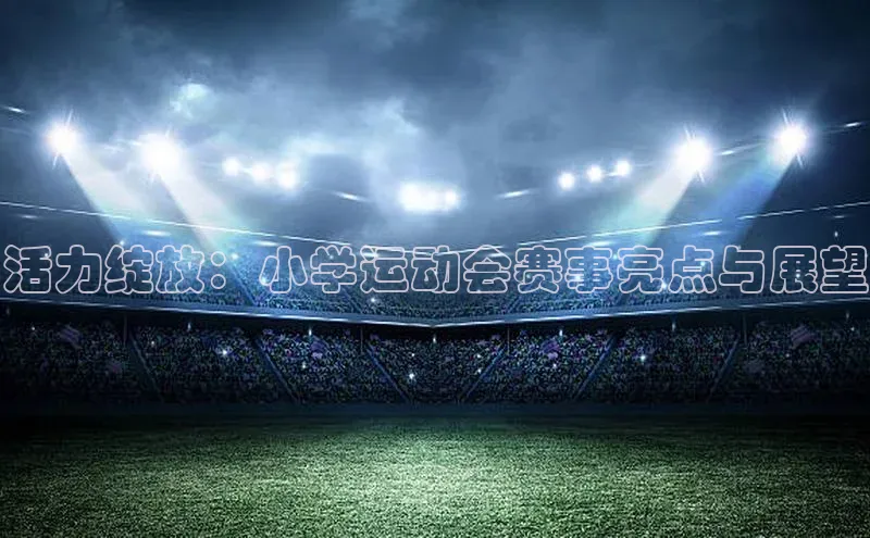 活力绽放：小学运动会赛事亮点与展望