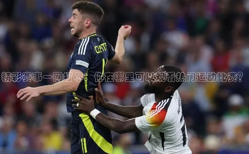 精彩赛事一网打尽：你在哪里可以观看热门运动比赛？