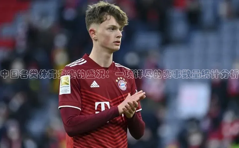 中国各类体育竞赛的盛况：一项详尽的赛事数量统计分析