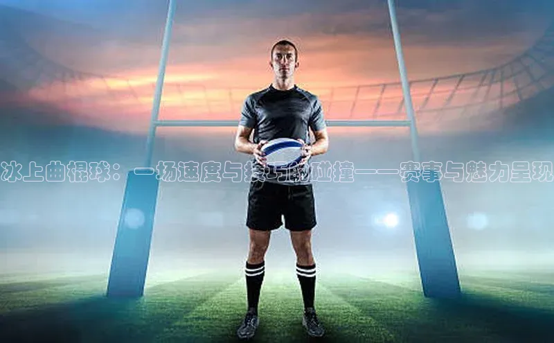 冰上曲棍球：一场速度与技巧的碰撞——赛事与魅力呈现