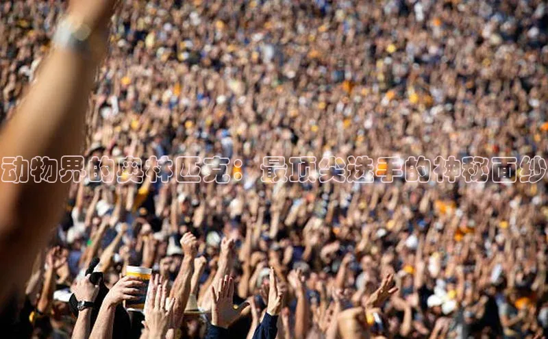 动物界的奥林匹克：最顶尖选手的神秘面纱