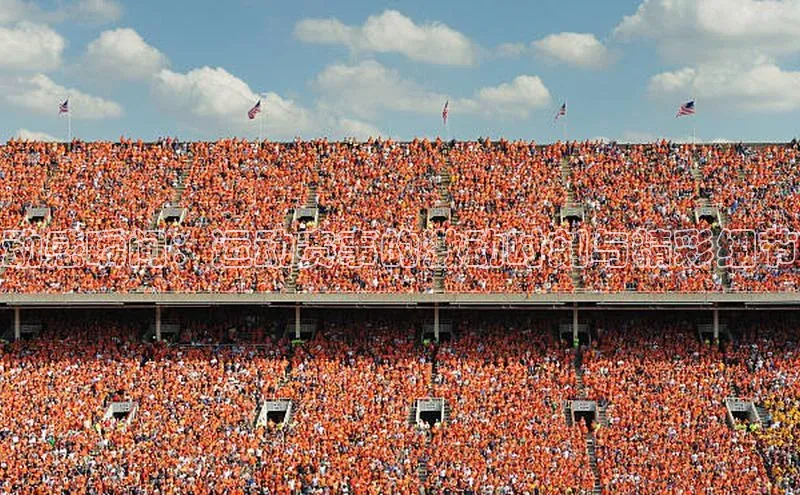 动感瞬间：运动赛事的激动时刻与精彩细节