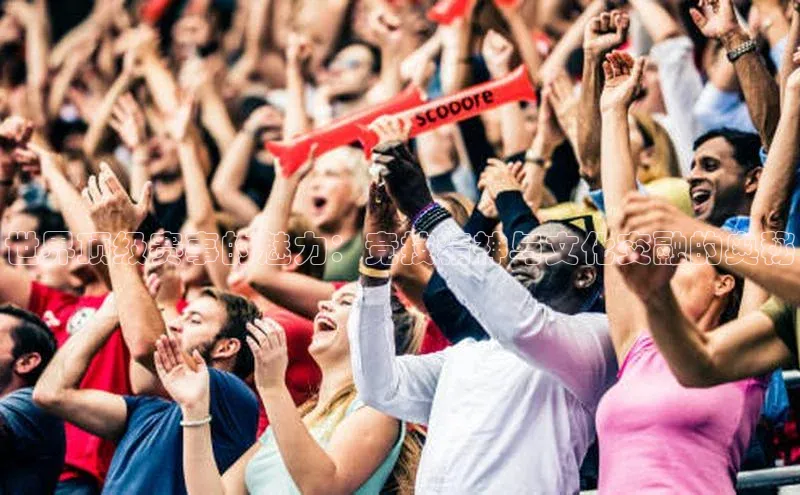 世界顶级赛事的魅力：竞技精神与文化交融的奥秘