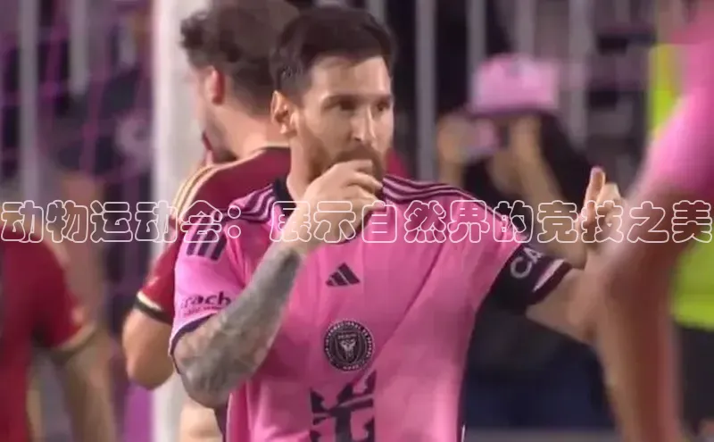 动物运动会：展示自然界的竞技之美