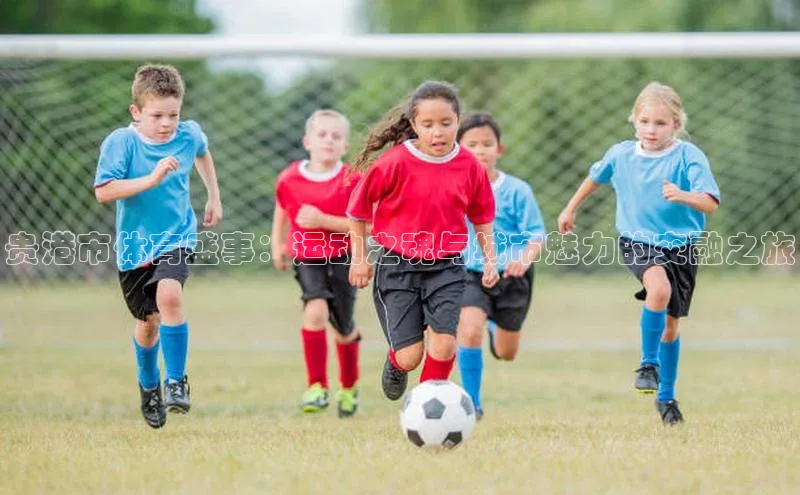 贵港市体育盛事：运动之魂与城市魅力的交融之旅