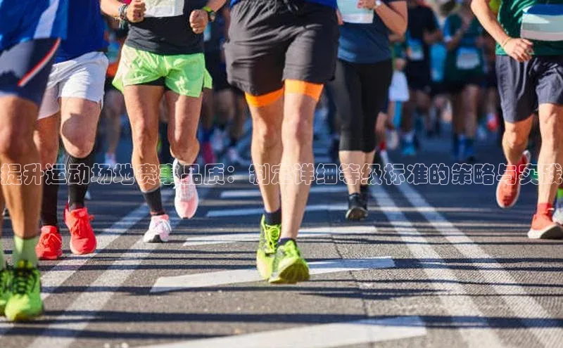 提升运动场地赛事品质：制定详细等级标准的策略与实践