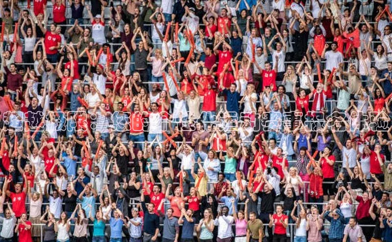 超越极限：您的个性化运动赛事报名体验