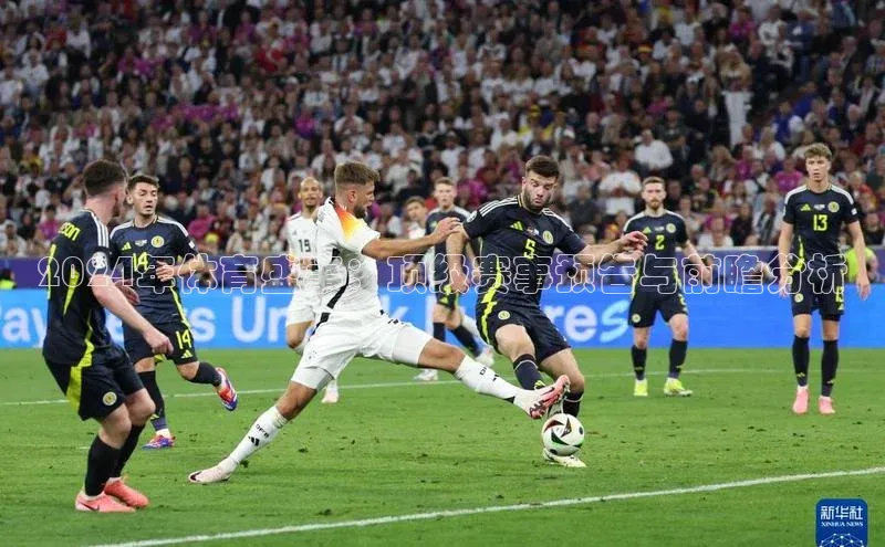 2024年体育盛事：顶级赛事预告与前瞻分析