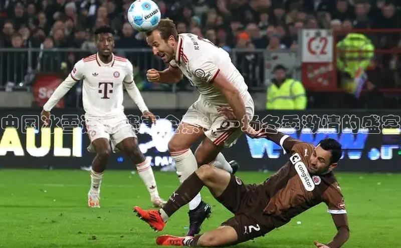 中国冰雪运动赛事全景：一场冬季激情的盛宴